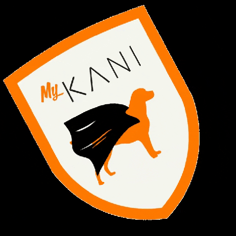 GIF by Akhal