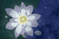 GIF by PiM Arts High School