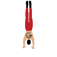 Sport Fitness Sticker by Emanuelelimatolacaos