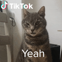 Cool Boy Ganzi GIF by TikTok Italia
