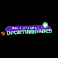 Ong Oportunidad GIF by SemilleroDigital
