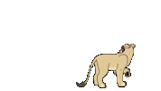 My Pride Lion Sticker by My Pride The Series