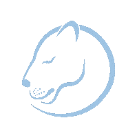 Lioness Sticker by Visual Branding Group