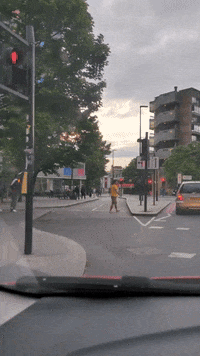 GIF by Stella 52