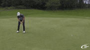 pgaeuroprotour no golf oh no how GIF