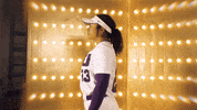 College Sports Sport GIF by LSU Tigers