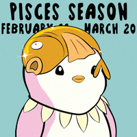 Penguin Zodiac GIF by Pudgy Penguins