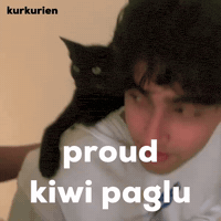 Kiwi Outstation GIF