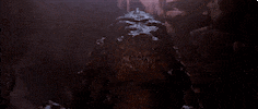 test GIF by RHUBER