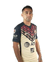 Soccer Goal Sticker by Club America