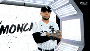 White Sox Yoyo GIF by NBC Sports Chicago