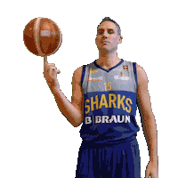 basketball spin Sticker by Sheffield Sharks