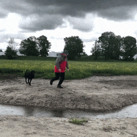 Dog Jump GIF by mediaMEMES
