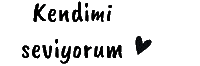 Birevyeni Sticker