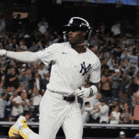 New York Yankees Baseball GIF by MLB