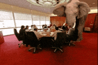 Address The Elephant GIF