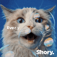 Petinsurance GIF by getShory