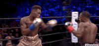 Fight Night boxing GIF by SHOWTIME Sports