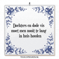 Humor Nl GIF by Tegelspreuken.nl