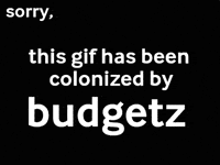Why Are You Gay Daffy Duck GIF