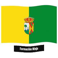 Castilla-La Mancha Flag Sticker by Formación Ninja