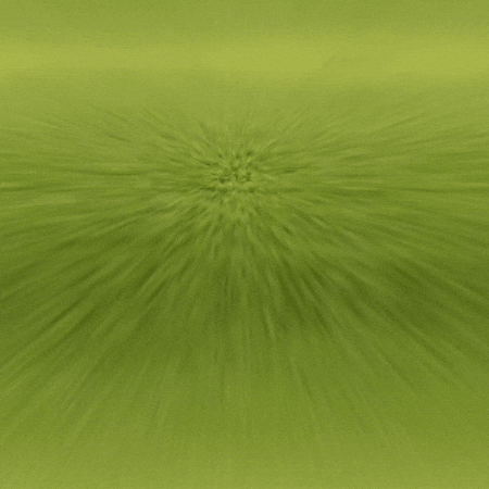 Home Run Baseball GIF by TeaCosyFolk