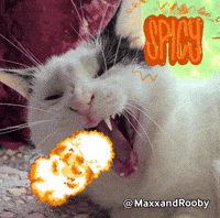 Cat Fire GIF