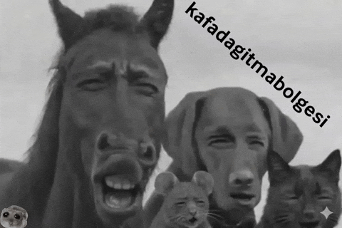 Huseyin Fare GIF