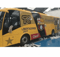 Liga De Quito Ldu GIF