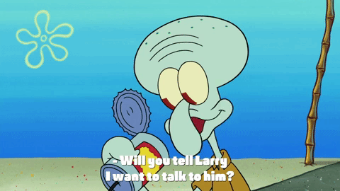 season 9 episode 13 GIF by SpongeBob SquarePants