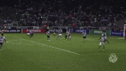 lucas lima golaÃ§o GIF by SE Palmeiras