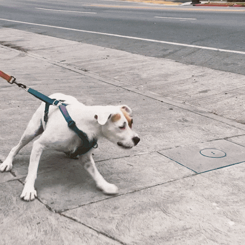 What are you looking at?