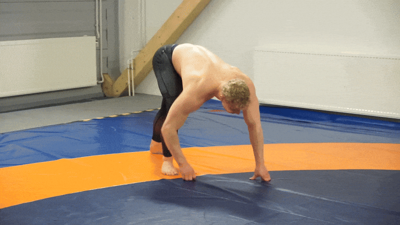 bodybuilding-and-fitness giphyupload fitness animal GIF