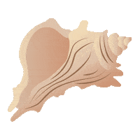 Beach Ocean Sticker by Spell & The Gypsy Collective