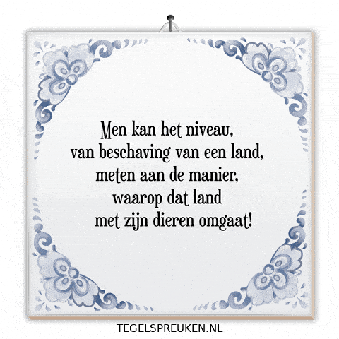 Humor Respect GIF by Tegelspreuken.nl