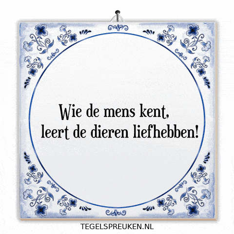 Respect Spreuk GIF by Tegelspreuken.nl