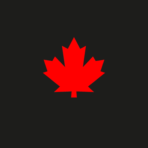 2021 GIF by DSQUARED2