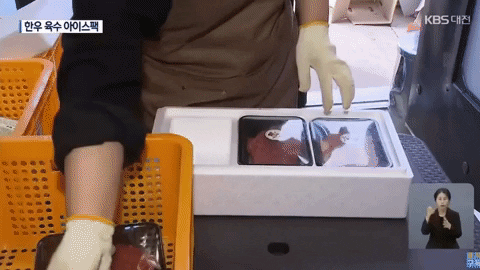 qwerpoiu22ppop giphyupload GIF