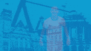 Football Tor GIF by ChemnitzerFC