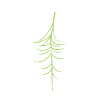 Waldhaus tree baum treelover waldhüs Sticker