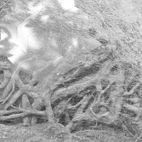 Sparkle Waves GIF by Trevor Anderson