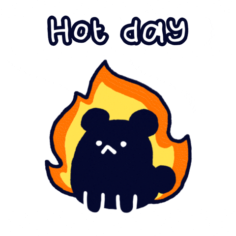 Fire Burning GIF