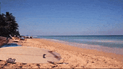 florida GIF