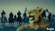sahotax_editz trending punjabi karanaujla atpeace GIF
