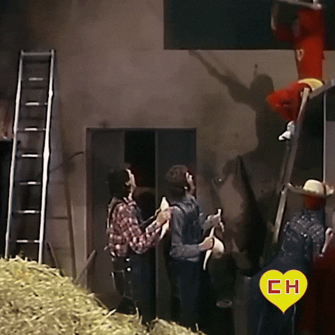 Chapulin Colorado Chapolin GIF by Grupo Chespirito