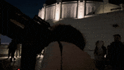 Looking Los Angeles GIF
