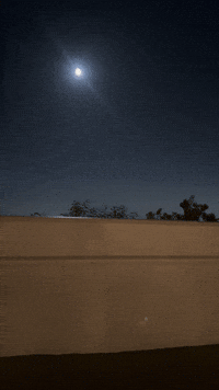 Los Angeles La GIF