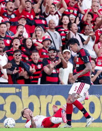 Benfica GIF