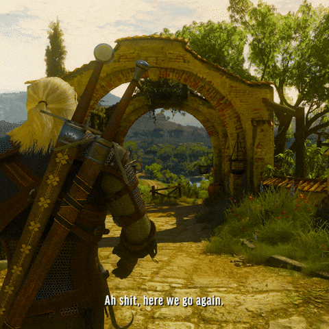 Herewegoagain GIF by The Witcher