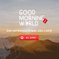 GIF by Nescafé Ecuador